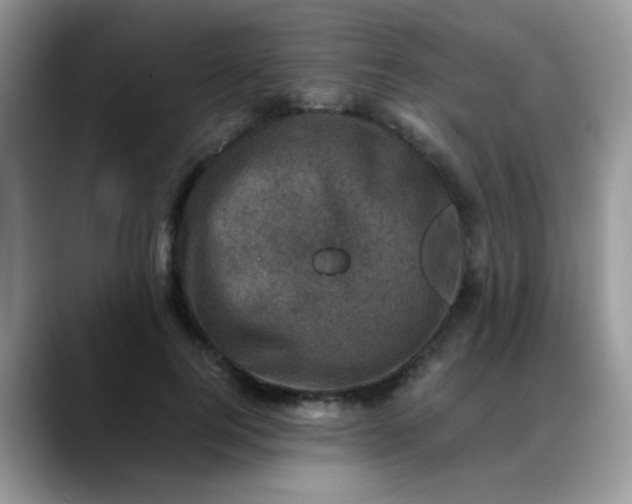 X0000088190744200705292012