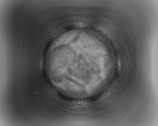 X0000088190745200705292012