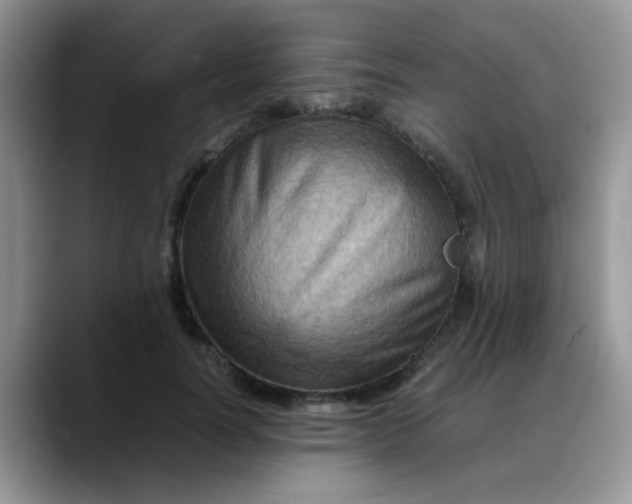 X0000088190746200705292012