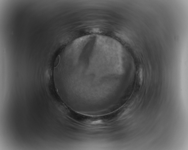 X0000088190747200705292012