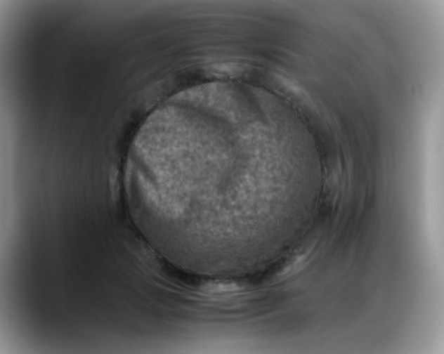 X0000088190749200705292012