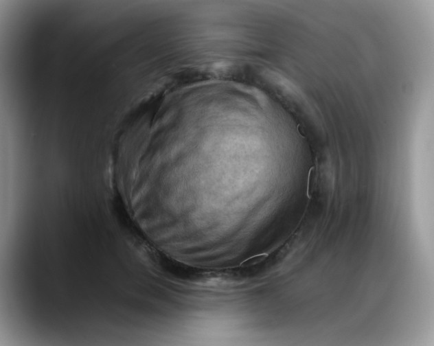 X0000088190750200705292012