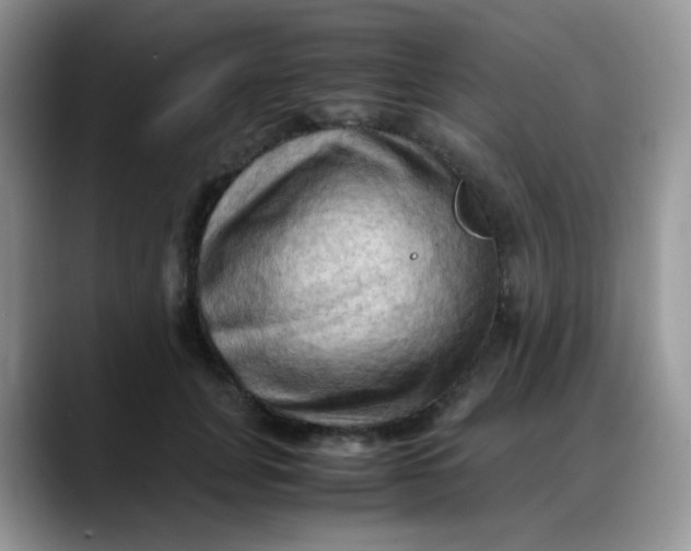 X0000088190751200705292012