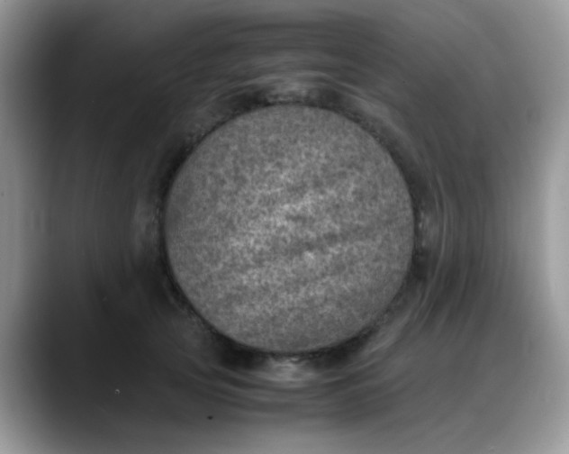 X0000088190753200705292012