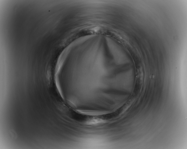 X0000088190754200705292012