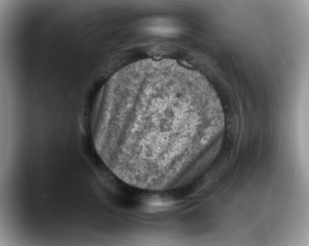 X0000088190755200705292012