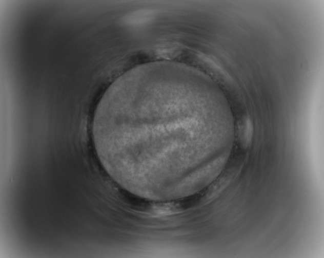 X0000088190757200705292012