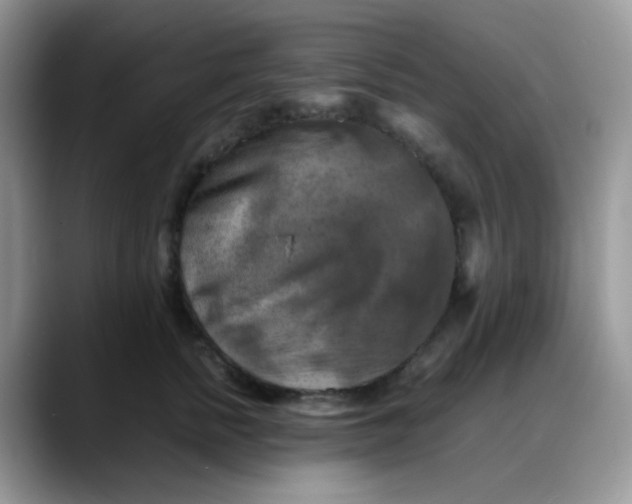 X0000088190758200705292012