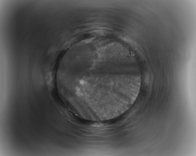X0000088190759200705292012