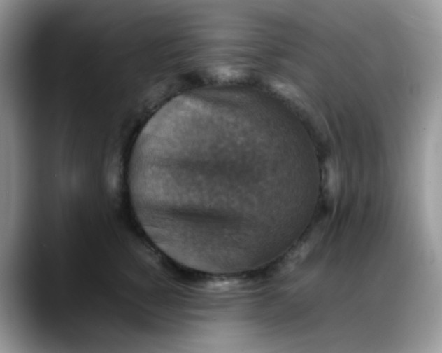 X0000088190760200705292012