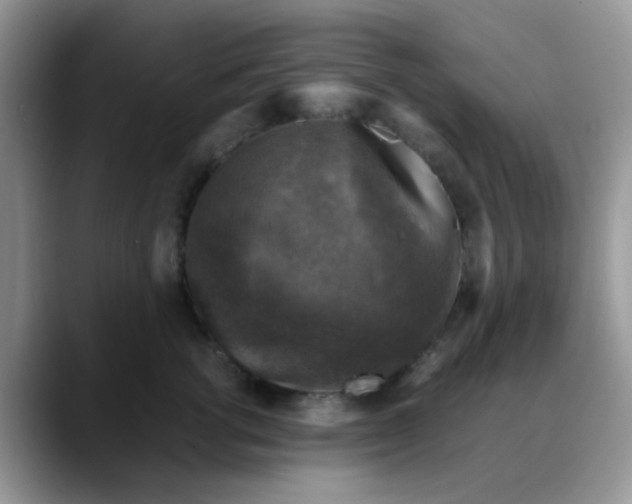 X0000088190762200705292012