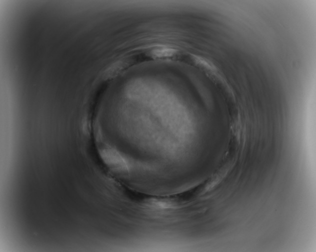 X0000088190763200705292012