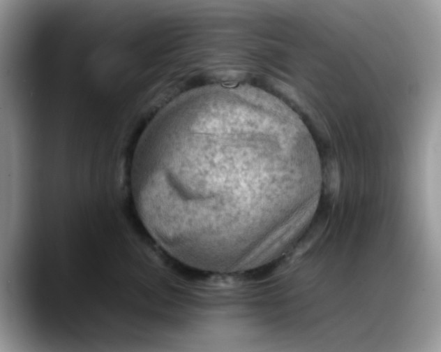 X0000088190764200705292012