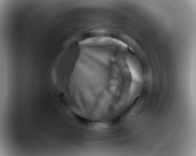 X0000088190765200705292012