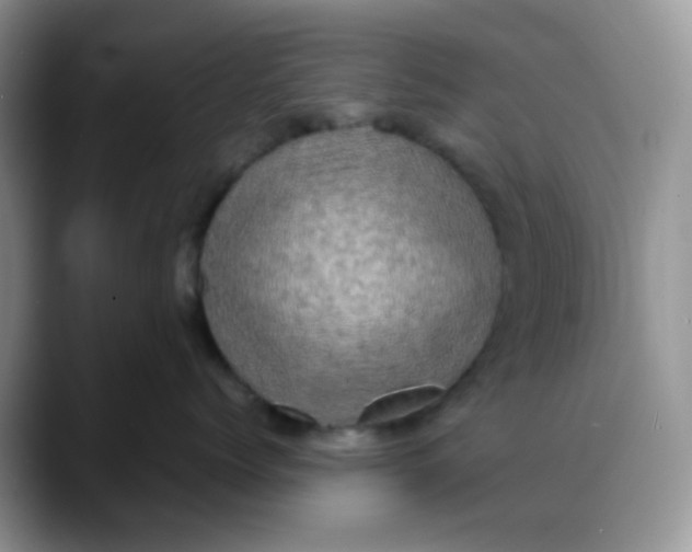 X0000088190768200705292012