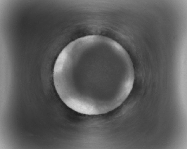 X0000088190769200705292011