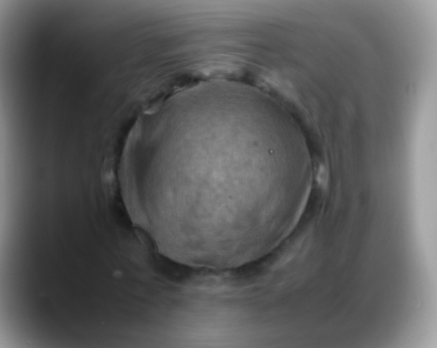 X0000088190771200705292011