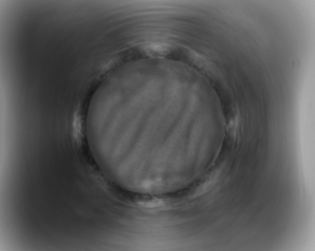 X0000088190772200705292011