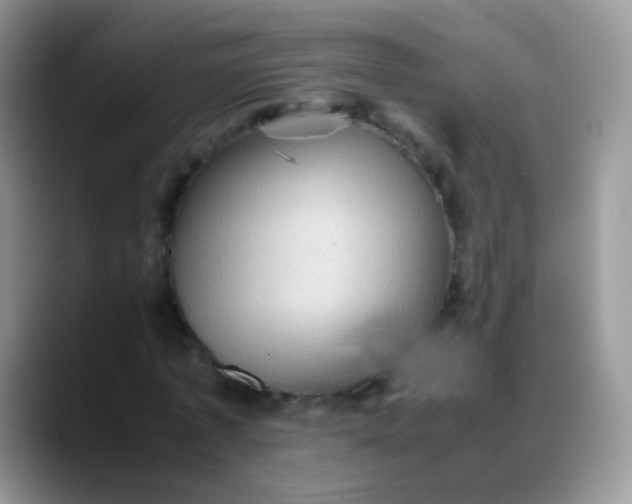 X0000088190773200705292011