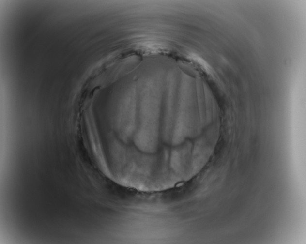 X0000088190775200705292011