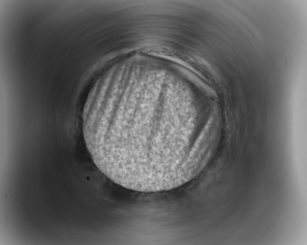 X0000088190776200705292011