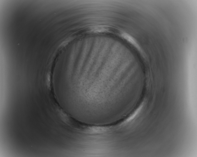 X0000088190777200705292011