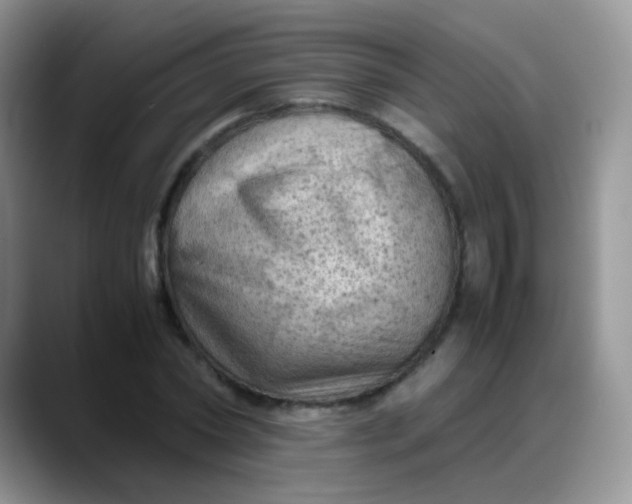 X0000088190782200705292011