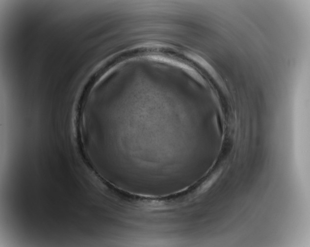 X0000088190783200705292011