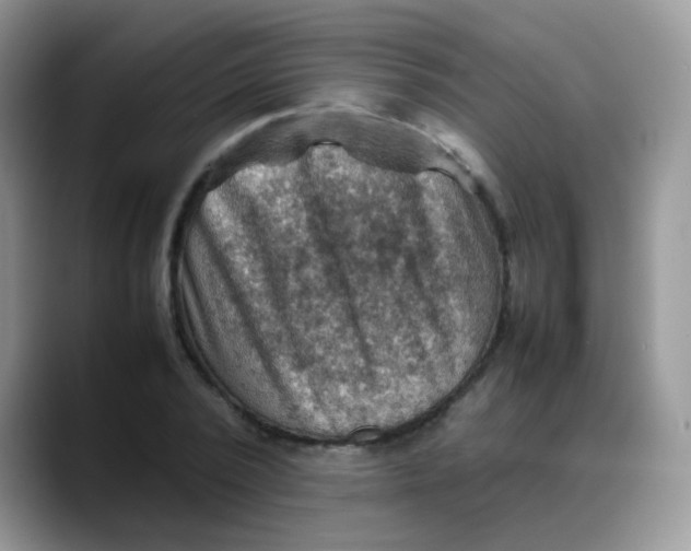 X0000088190784200705292011