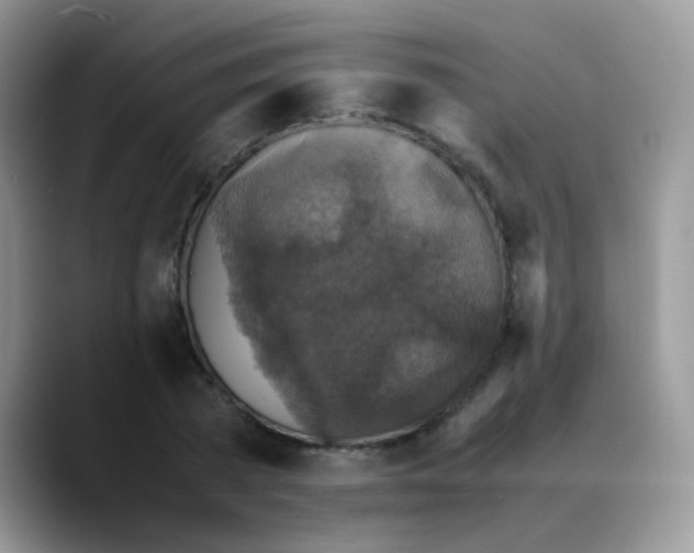 X0000088190785200705292011
