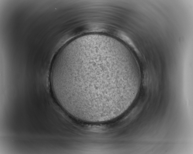 X0000088190786200705292011