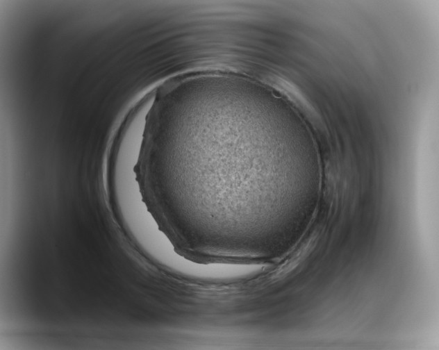 X0000088190788200705292011