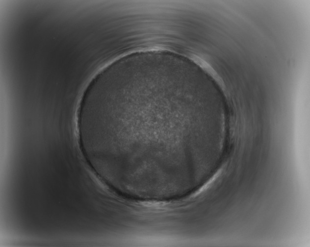 X0000088190789200705292011