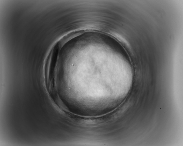 X0000088190792200705292011