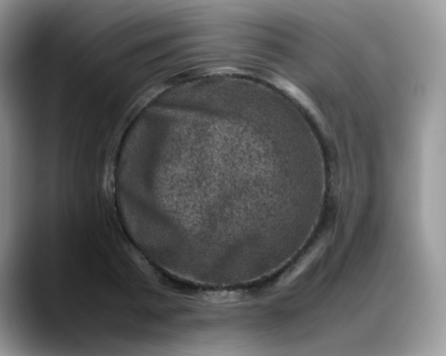 X0000088190793200705292011