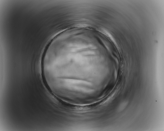 X0000088190795200705292011