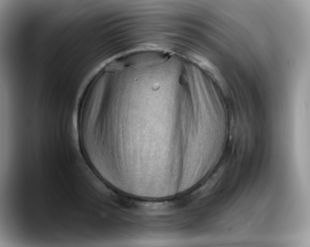 X0000088190796200705292011