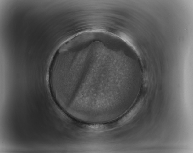 X0000088190797200705292011