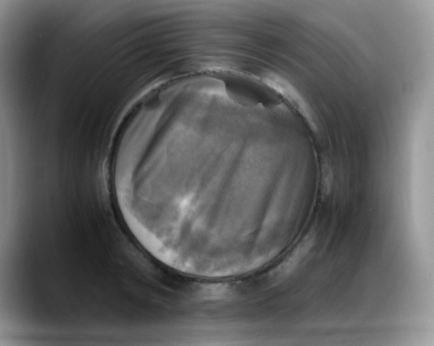 X0000088190798200705292011