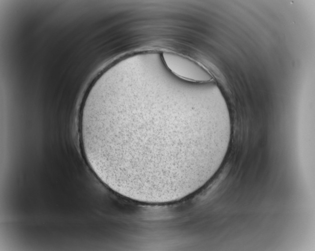X0000088190800200705292011