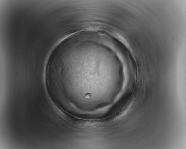 X0000088190803200705292011
