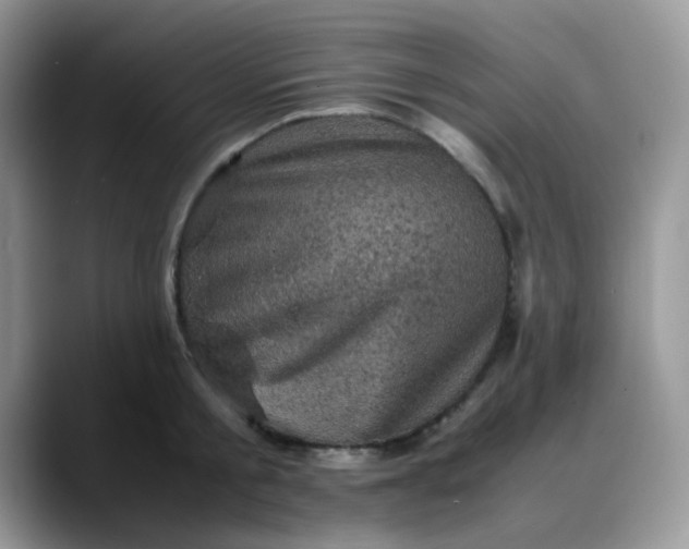 X0000088190805200705292011
