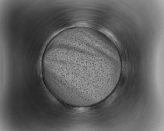 X0000088190808200705292011