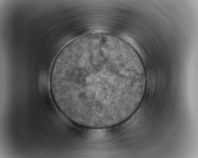 X0000088190810200705292011
