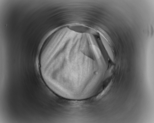 X0000088190812200705292011