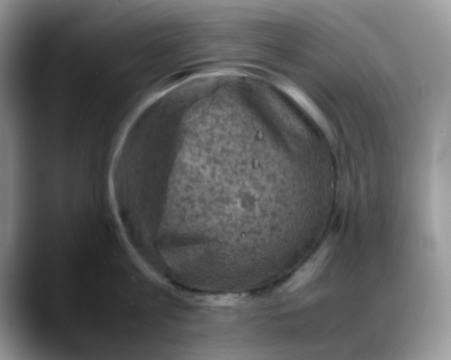 X0000088190813200705292011