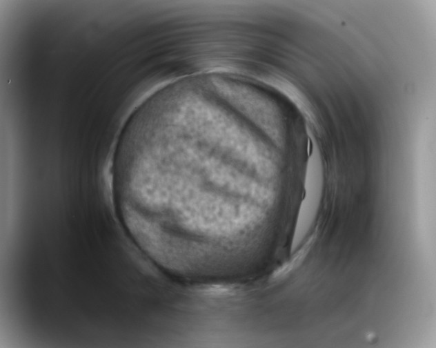X0000088190814200705292011