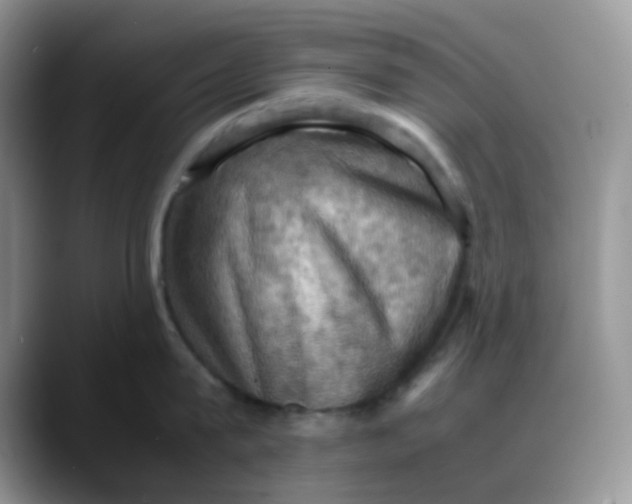X0000088190815200705292011