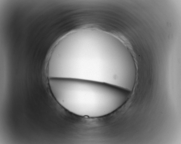 X0000088190816200705292011