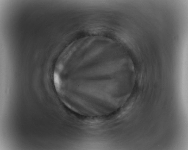 X0000088190817200705292010